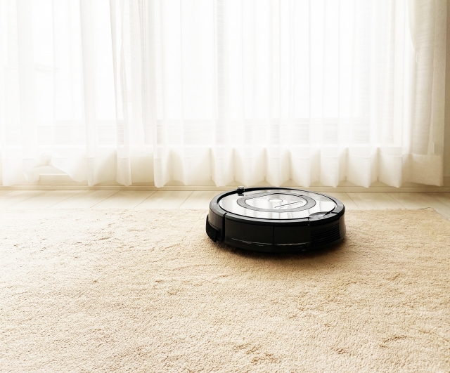 ルンバイメージ写真